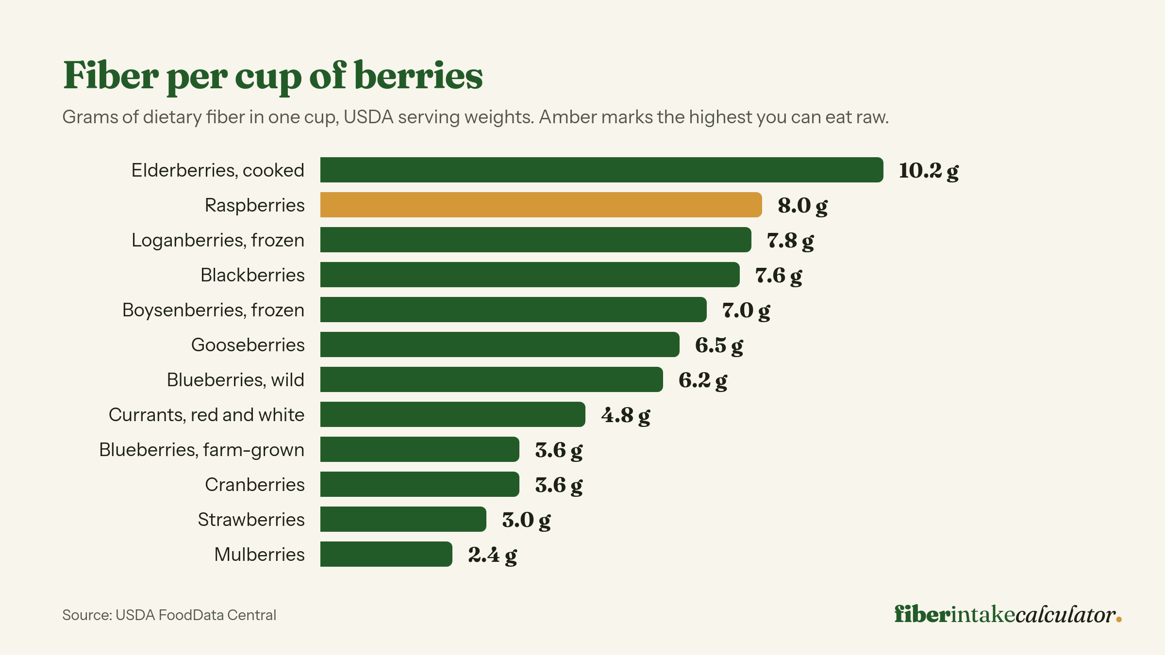 Bar chart of dietary fiber per cup for twelve berries, led by cooked elderberries at 10.2 grams, raspberries at 8 grams, loganberries at 7.8 grams and blackberries at 7.6 grams, down to mulberries at 2.4 grams
