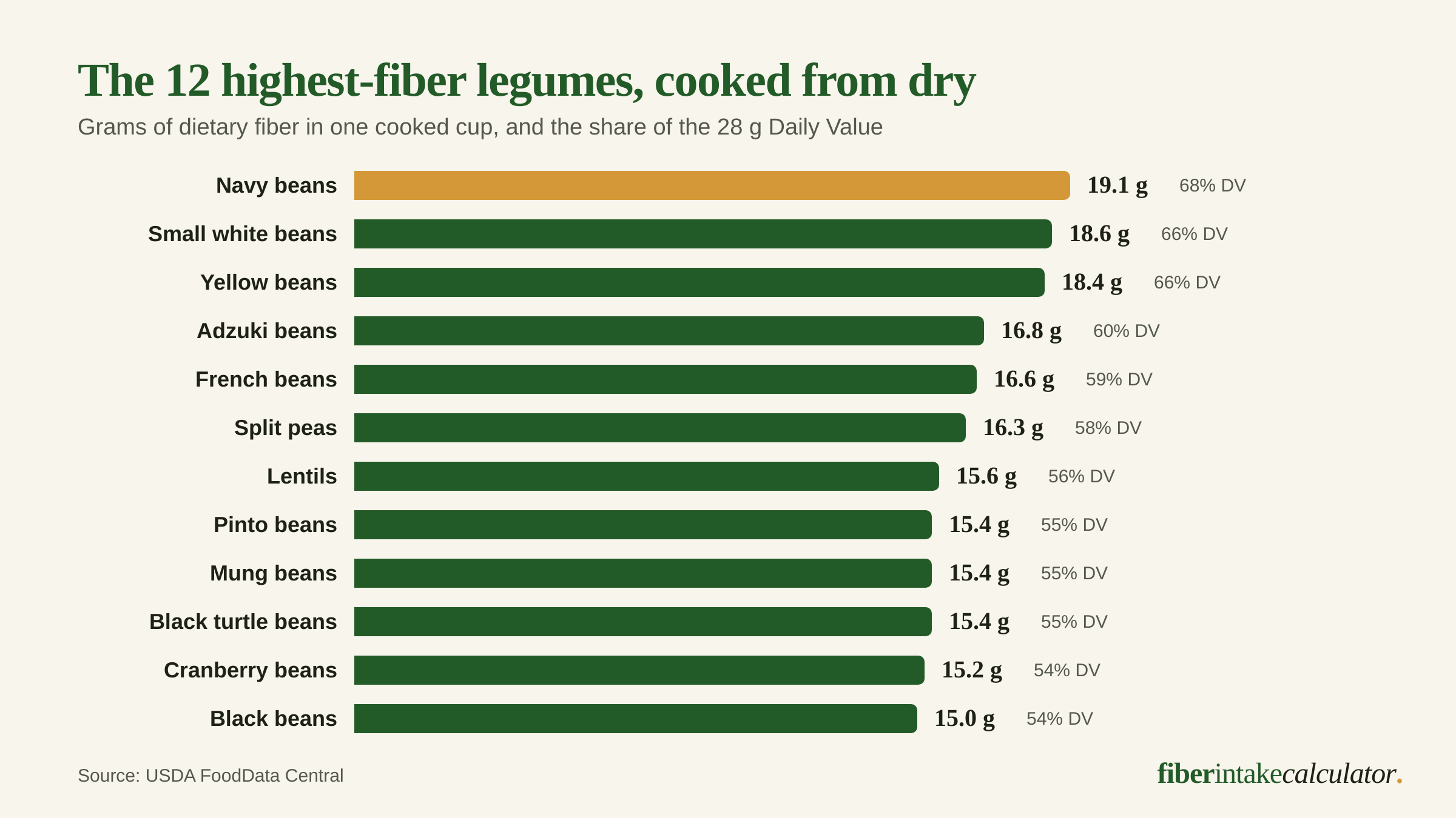 Bar chart of the twelve highest-fiber legumes cooked from dry, led by navy beans at 19.1 grams per cup or 68 percent of the 28 gram Daily Value, down to black beans at 15.0 grams