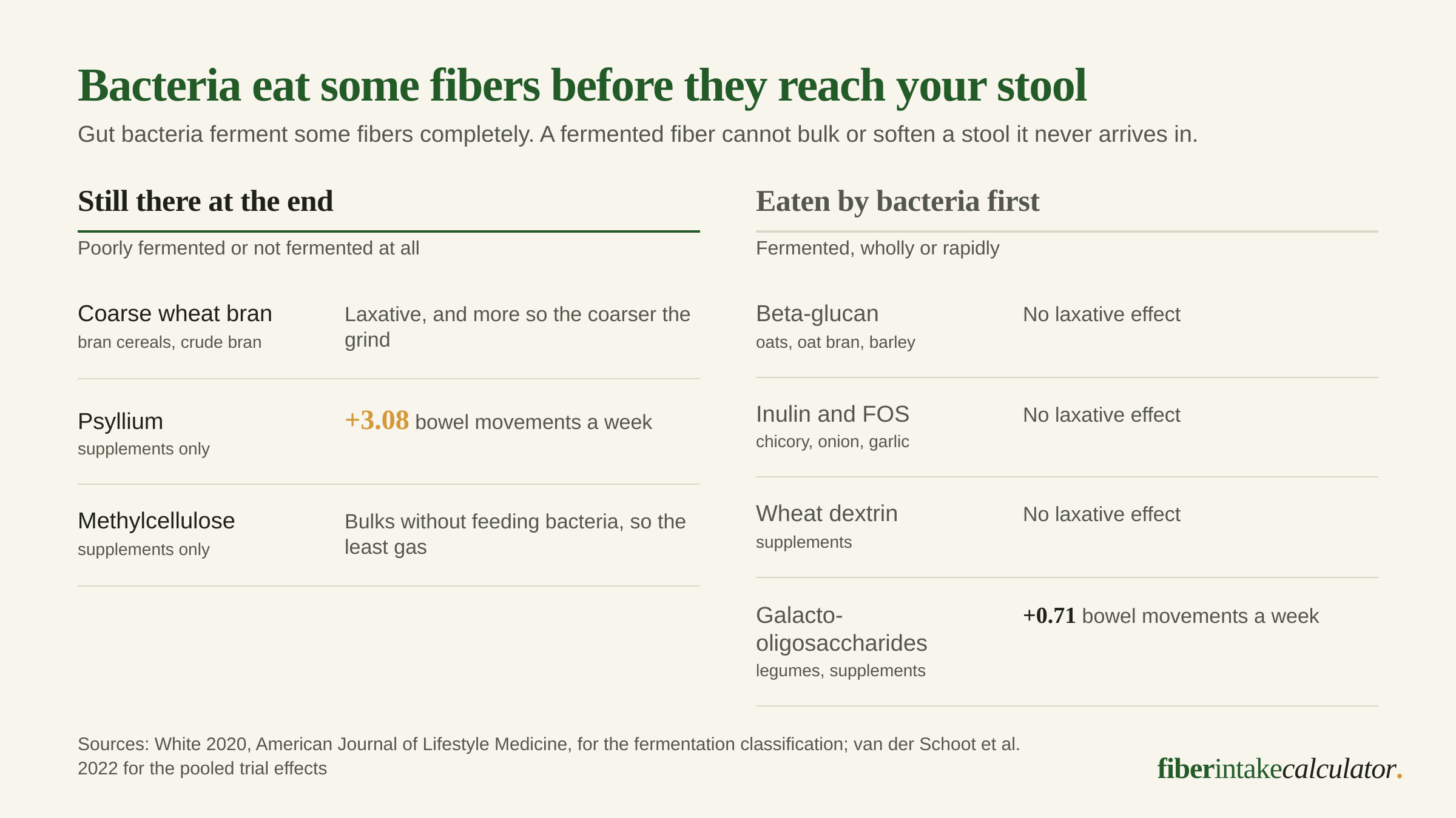Two-column comparison of fibers that survive to the stool against fibers gut bacteria ferment first, with psyllium at plus 3.08 bowel movements a week and coarse wheat bran laxative on the left, and beta-glucan, inulin, wheat dextrin and galacto-oligosaccharides at no laxative effect or plus 0.71 on the right