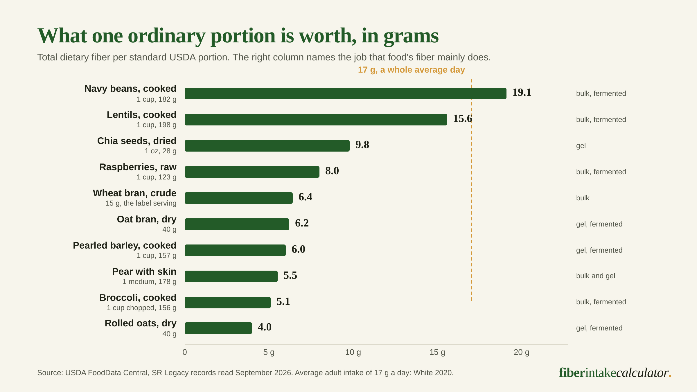 Bar chart of total dietary fiber per standard USDA portion for ten foods, led by a cup of cooked navy beans at 19.1 grams and a cup of cooked lentils at 15.6 grams, down to 40 grams of dry rolled oats at 4.0 grams, with a marker at 17 grams for the average adult daily intake